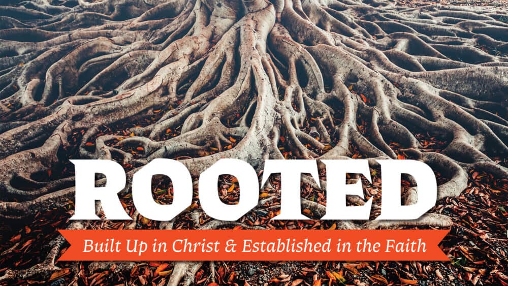 Rooted