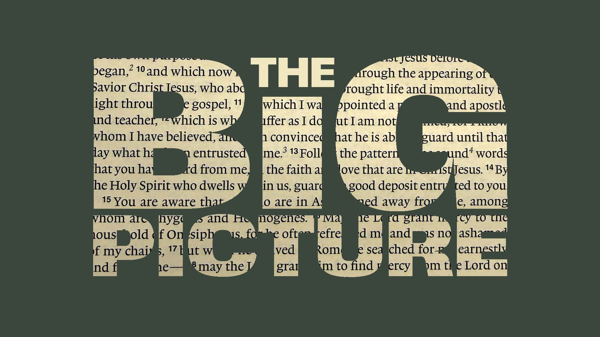 The Big Picture